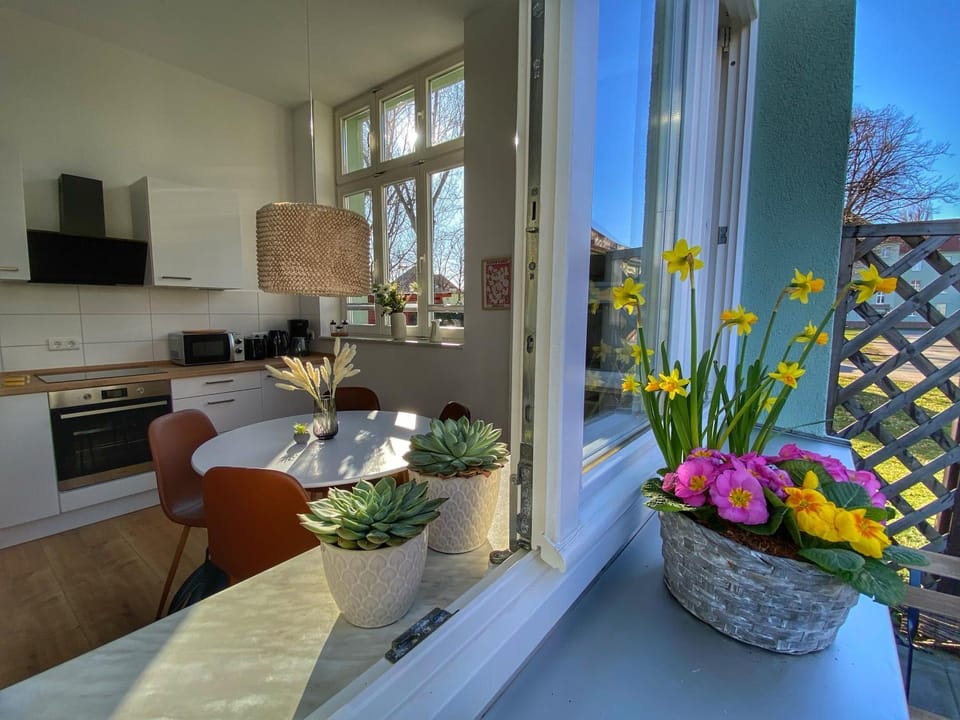 Kitchen or kitchenette, Dining area, stove