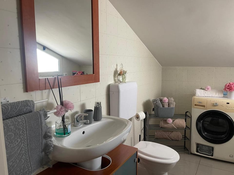 Toilet, Bathroom, washing machine, dryer