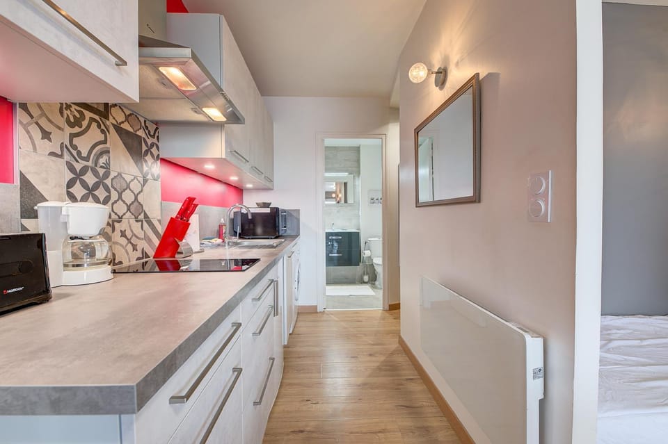 Studio Grammont 4 Apartment in Tours