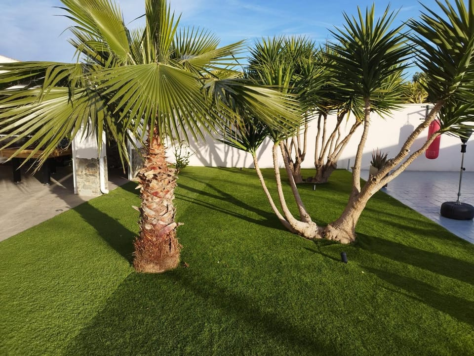 Garden view
