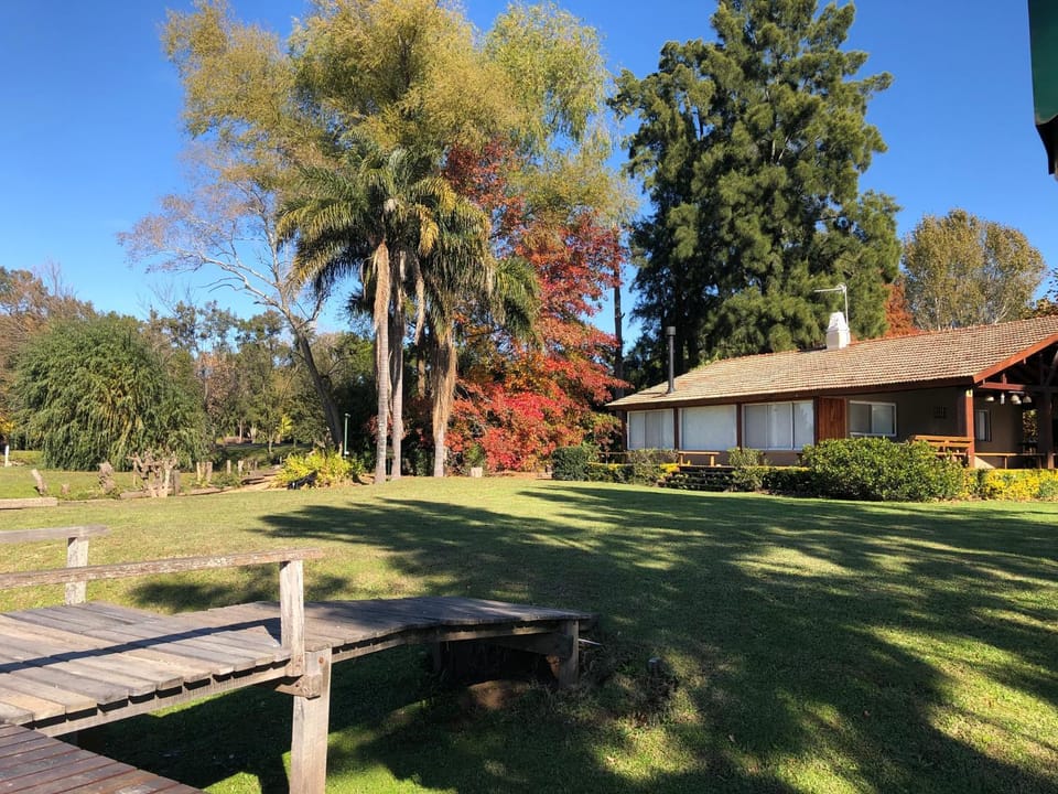 Property building, Day, Autumn