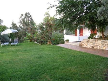 Day, Garden