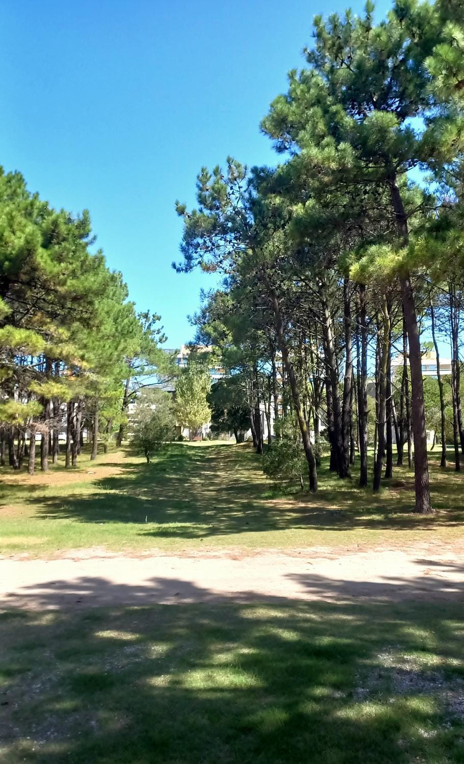 Garden, Garden view
