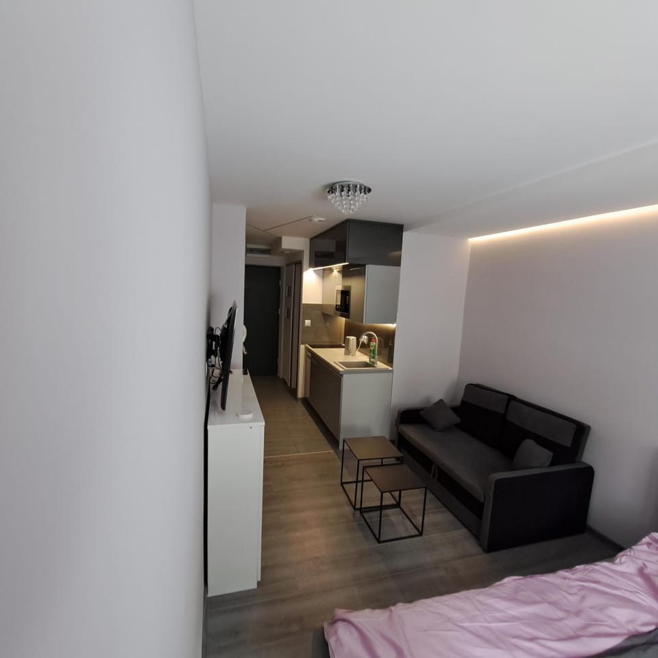 Apartament Źródełko Apartment in Lesser Poland Voivodeship