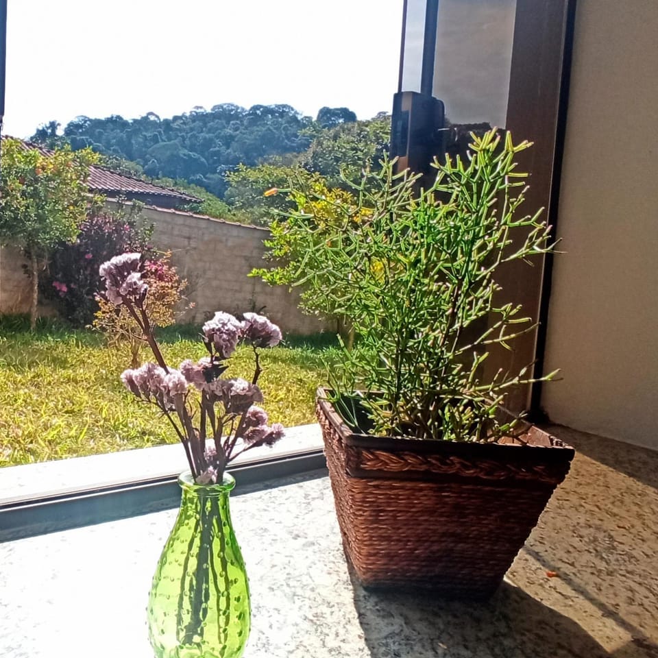 Spring, Day, View (from property/room), Decorative detail, Garden view