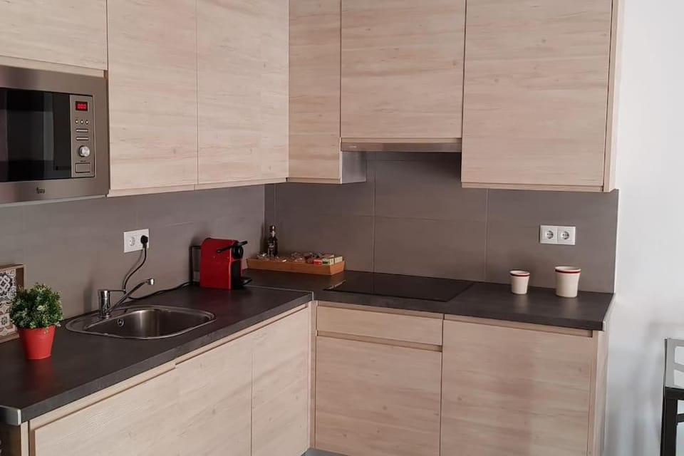 Coffee/tea facilities, Kitchen or kitchenette, minibar, stove