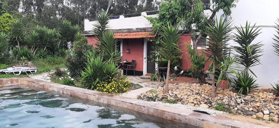 Day, Garden, Garden, Garden view, Pool view