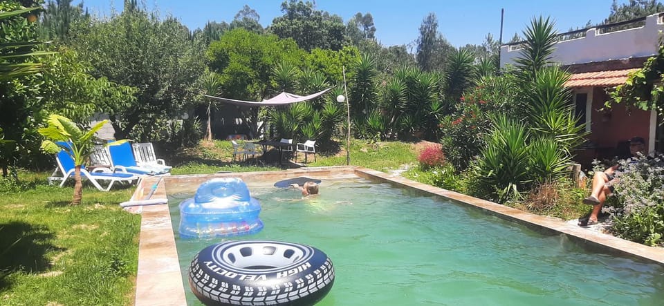 Day, Natural landscape, Garden, Garden view, Pool view, Swimming pool