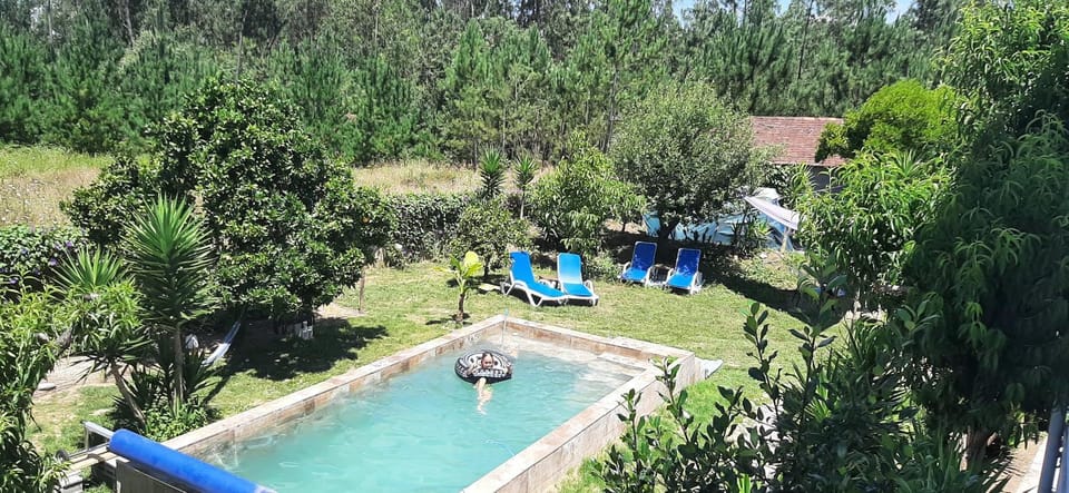 Natural landscape, Garden, Garden view, Swimming pool, Swimming pool, sunbed