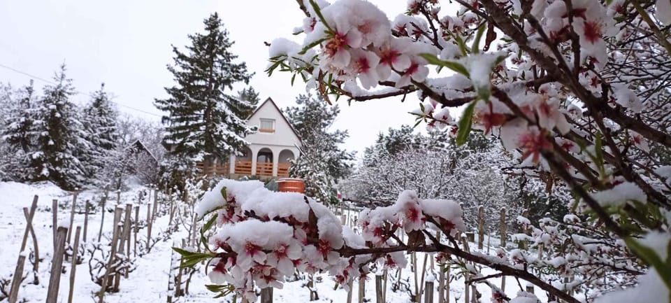 Property building, Winter