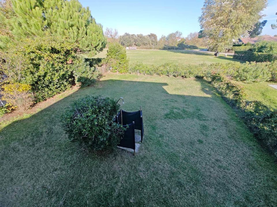 Property building, Summer, Garden