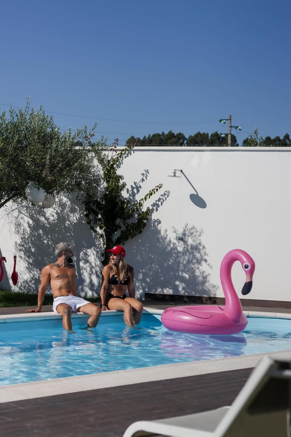 Garden, Guests, Swimming pool, group of guests