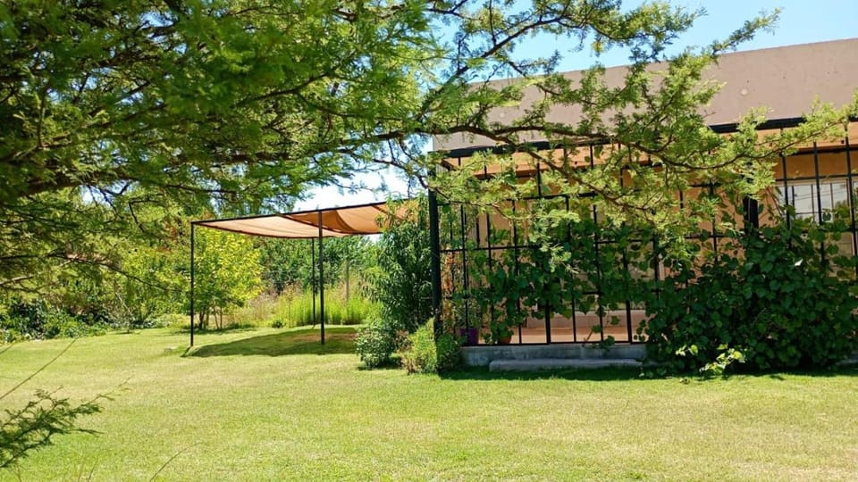 Property building, Garden, Garden view