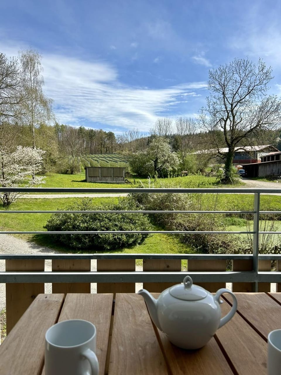 Balcony/Terrace