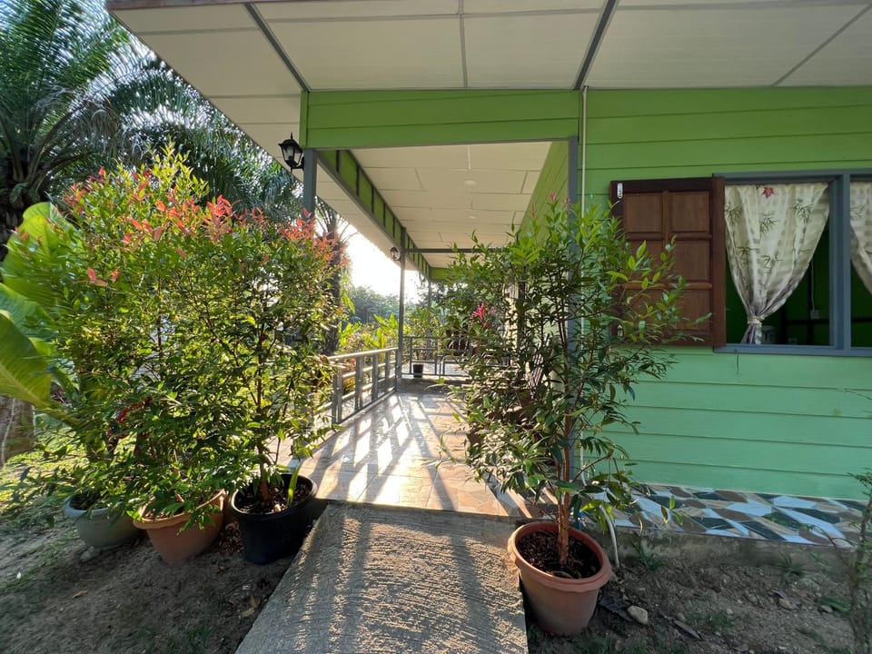 Property building, Spring, Day, Garden, Garden view