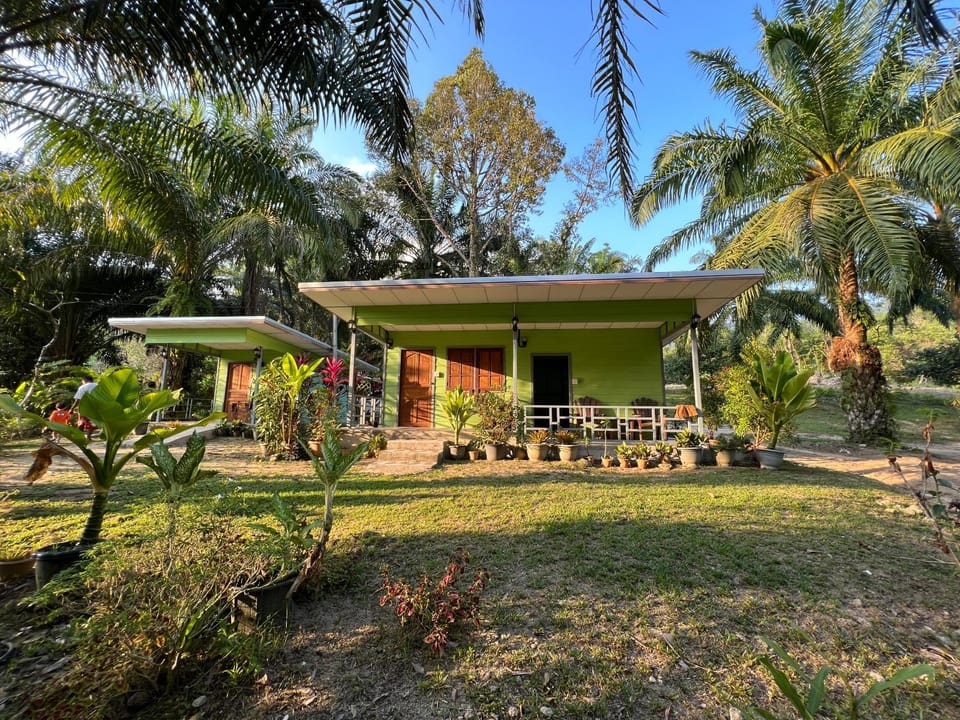 Property building, Natural landscape, Garden