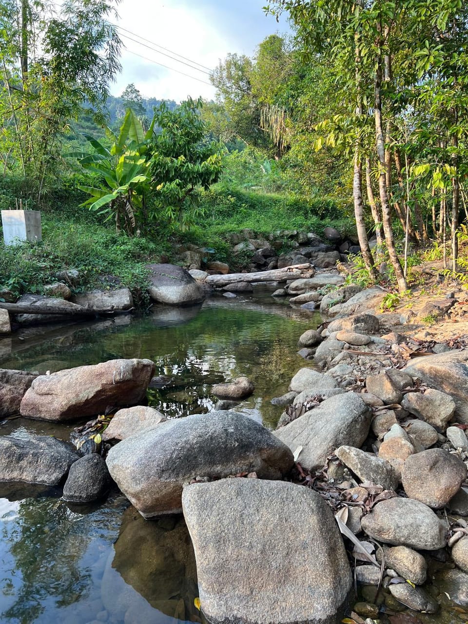 Natural landscape, River view