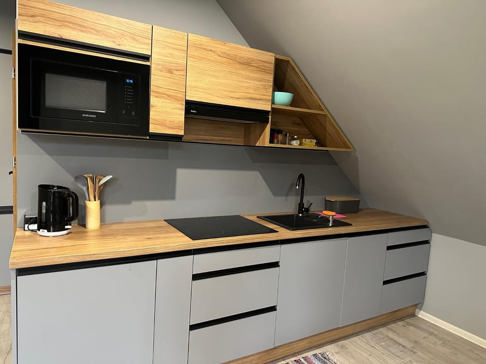 Apartament nad Jeziorem Apartment in Lower Silesian Voivodeship