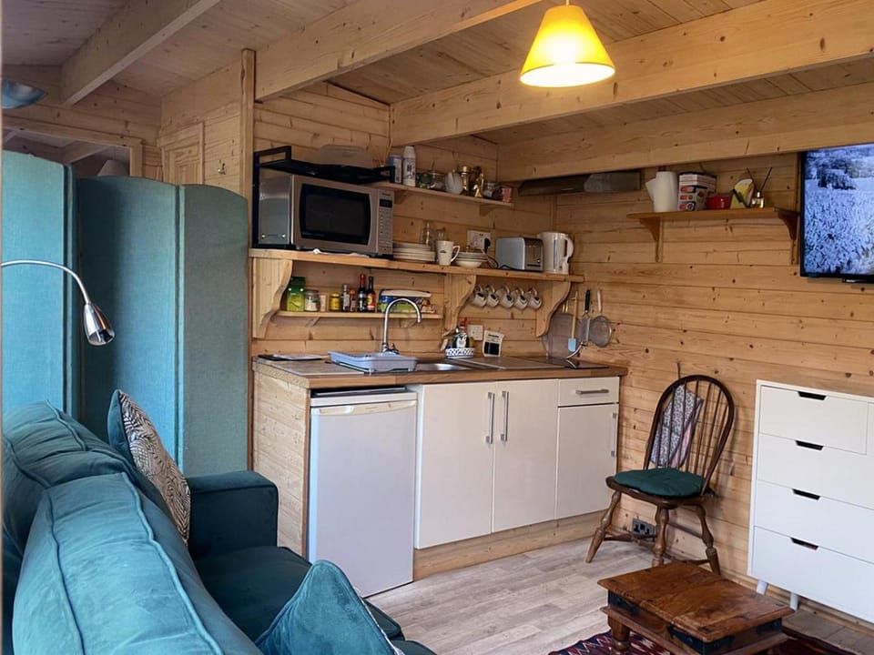 TV and multimedia, Coffee/tea facilities, Kitchen or kitchenette, Living room, Seating area, oven, stove, toaster