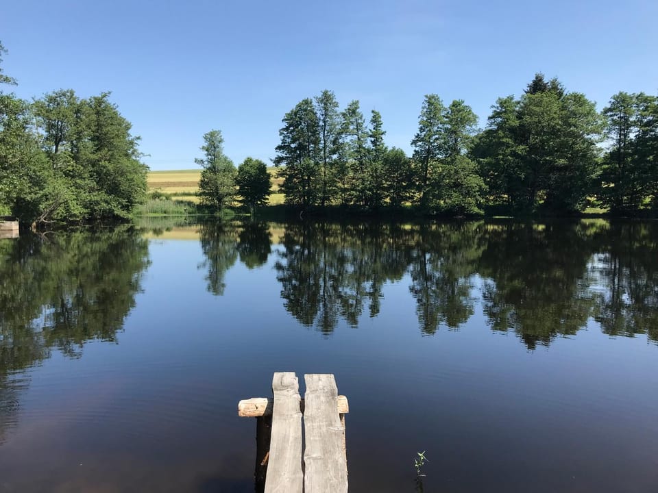 Lake view