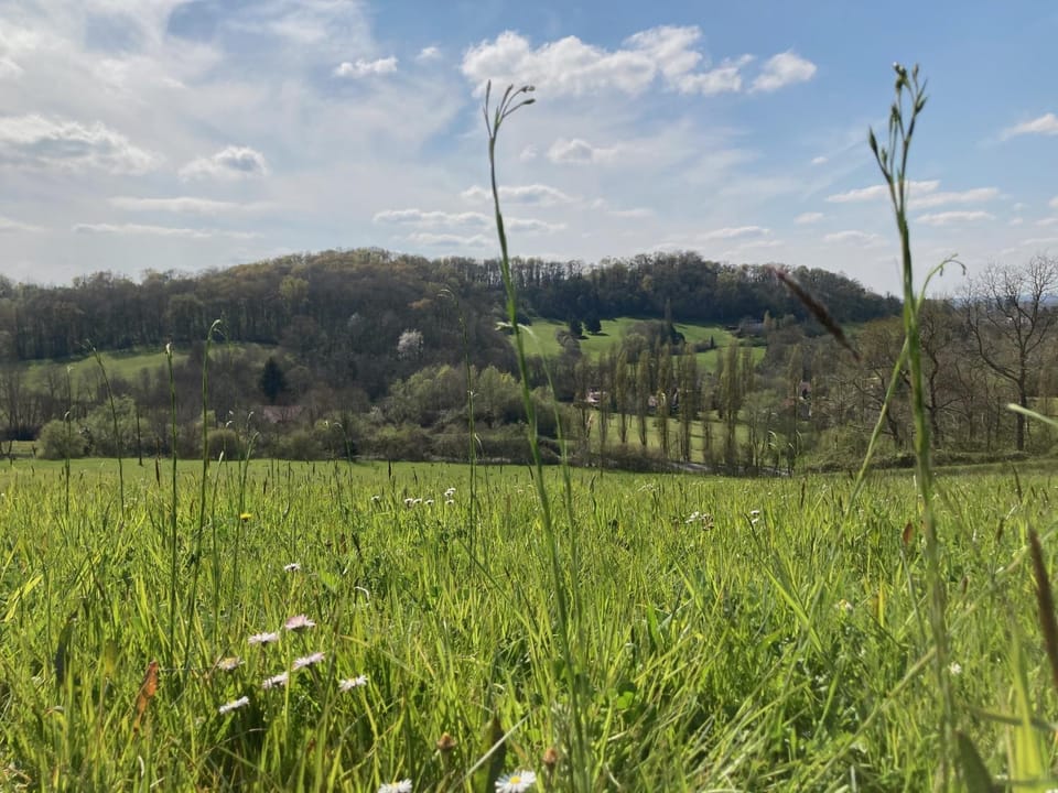 Natural landscape