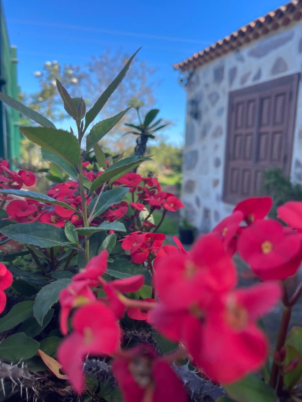 La Era de la Florida House in Orotava Valley