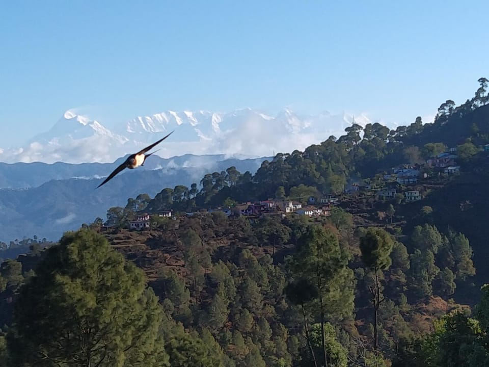 Natural landscape, Mountain view