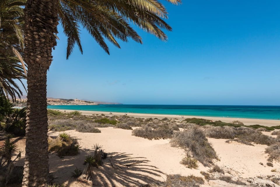 Home2Book Aloha Palm Apartment in Fuerteventura