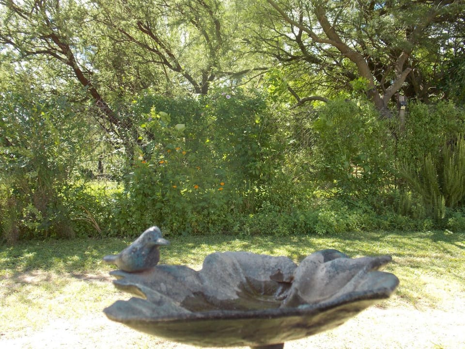 Garden, Garden view