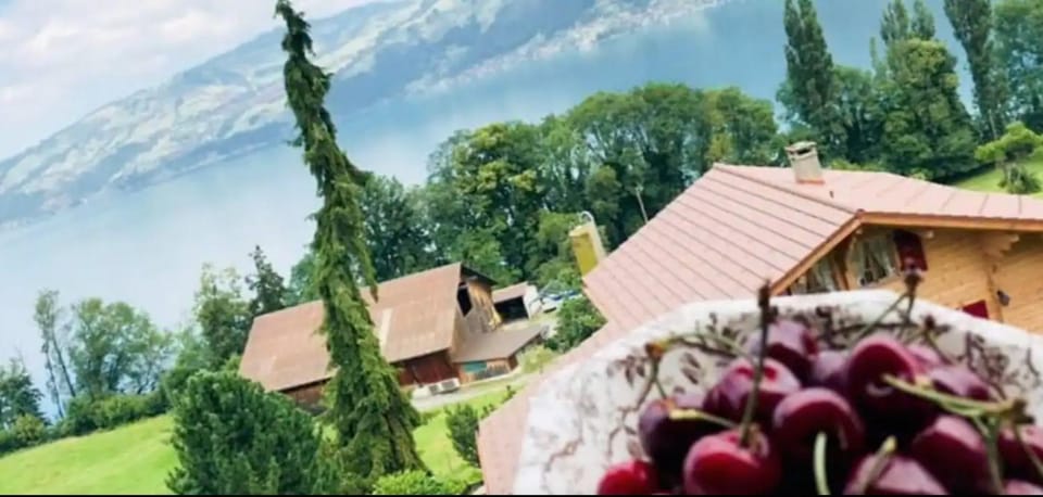Marianne's Rustic Apartment in Canton of Bern (Region)