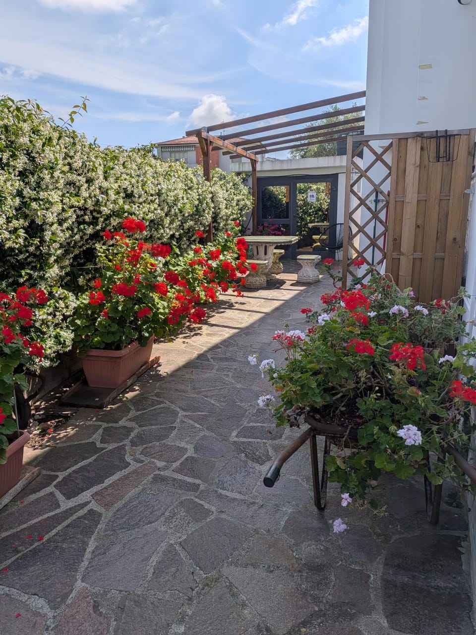 LE 7 CALLE Apartment in Pisa