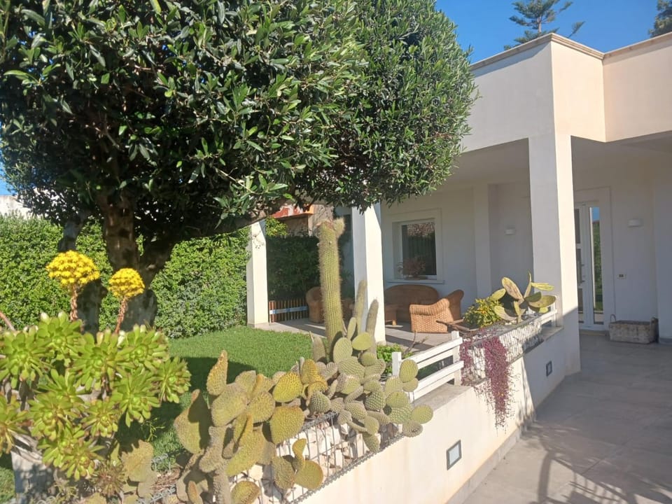 Patio, Garden