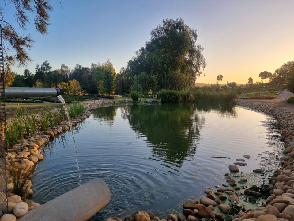 Natural landscape, Lake view, Sunset