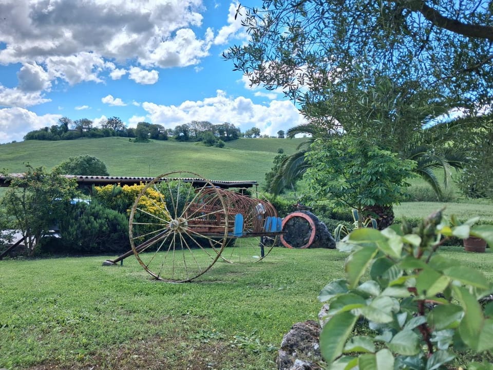 Natural landscape, Garden, Garden view