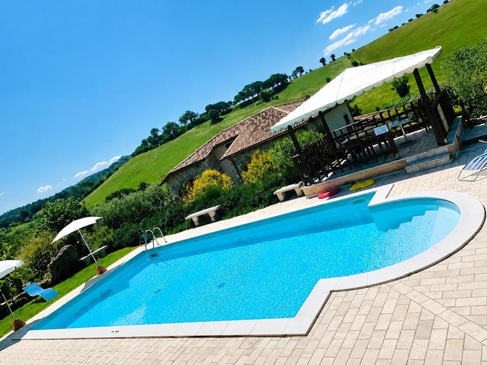 Natural landscape, Swimming pool, sunbed