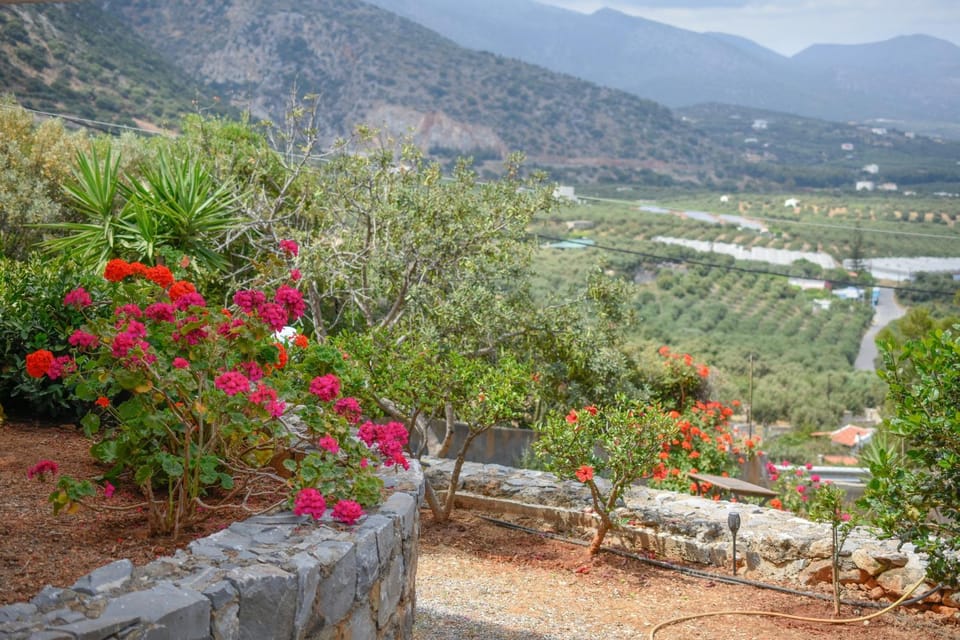 Garden, Mountain view