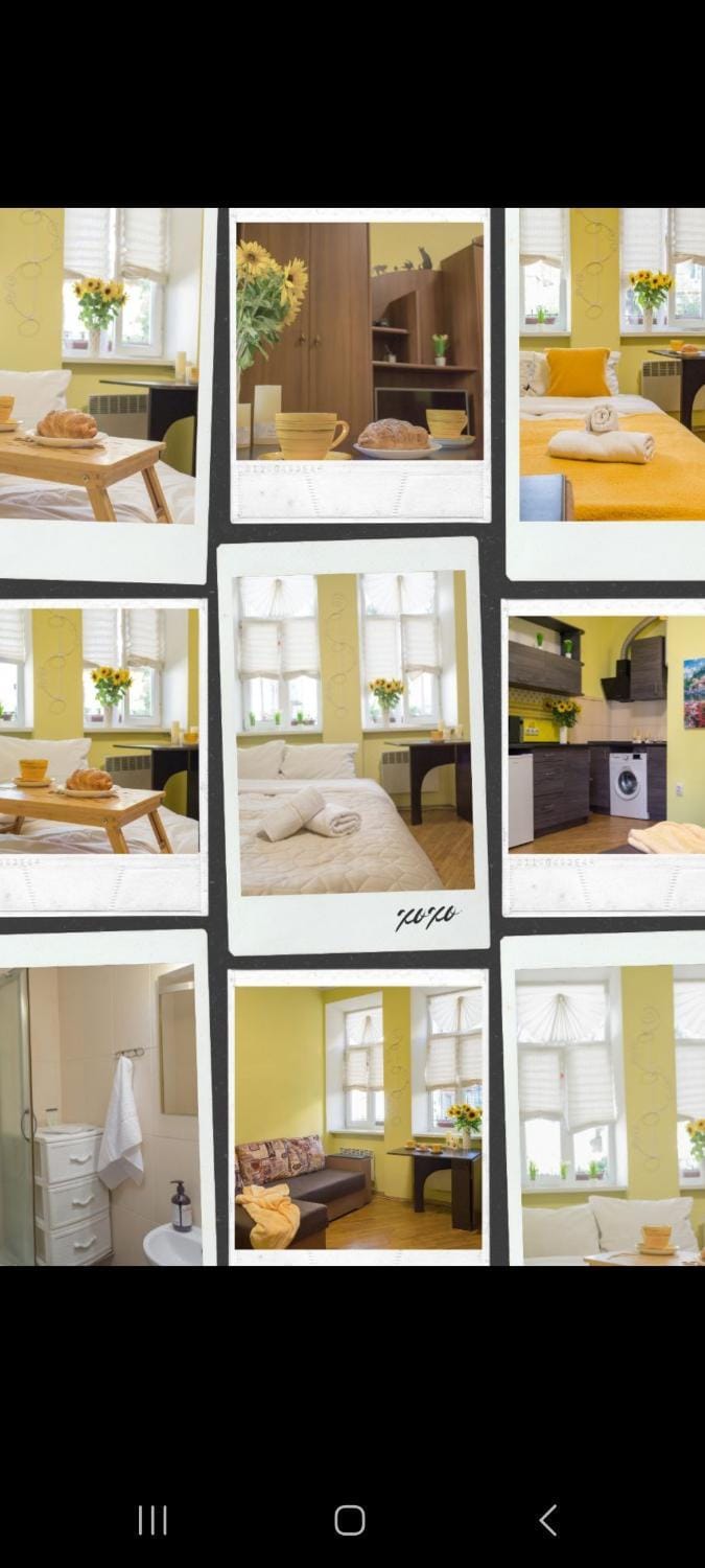 Центр, біля Медичного університету, вулиця Личаківська Apartment in Lviv