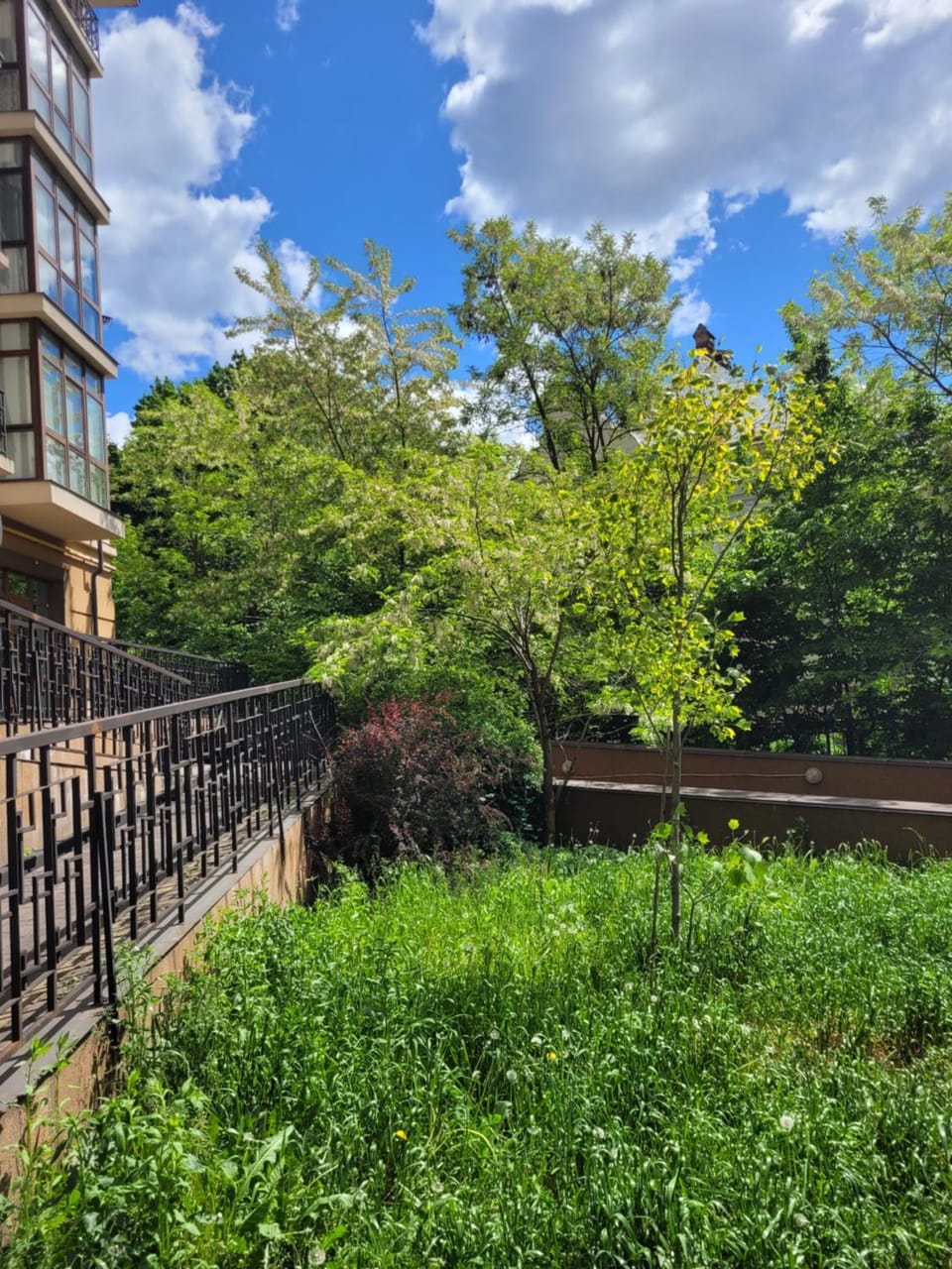 Spring, Day, Natural landscape, Garden, Garden view