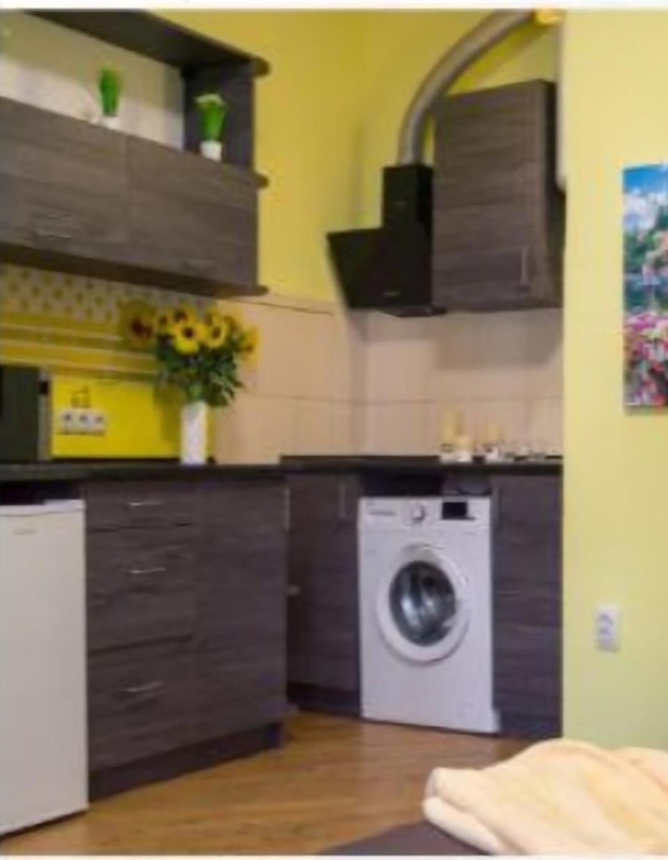 Центр, біля Медичного університету, вулиця Личаківська Apartment in Lviv