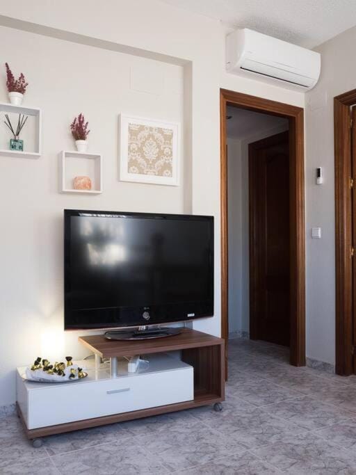 TV and multimedia