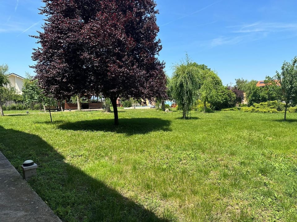 Venus Resort Apartment in Timisoara