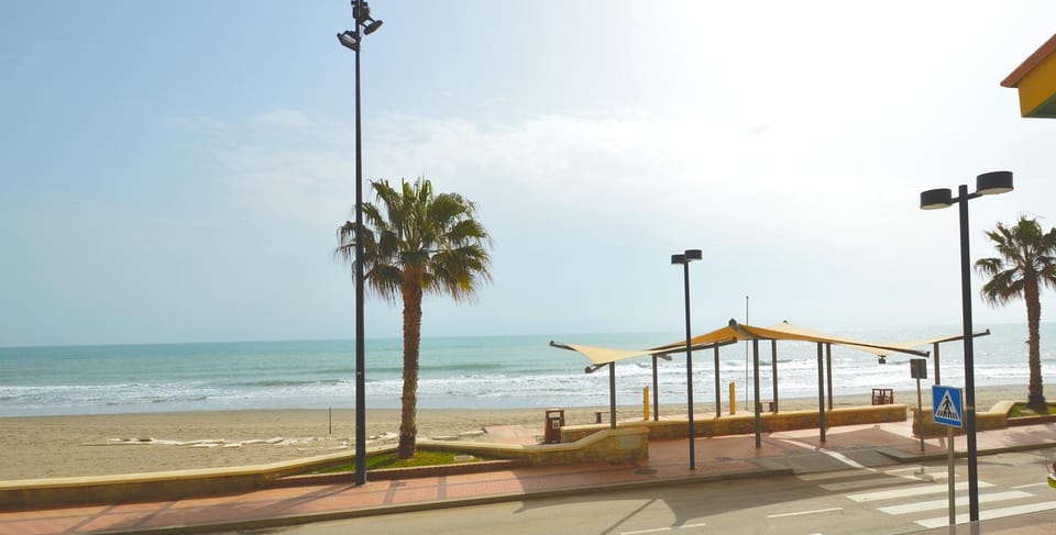 Balcony/Terrace, Lounge or bar, Beach, Beach, Sea view, sunbed