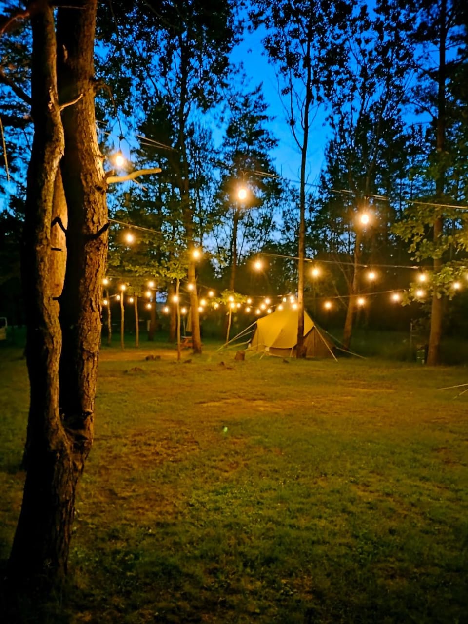 Leśny Raj Campground/ 
RV Resort in Lviv Oblast