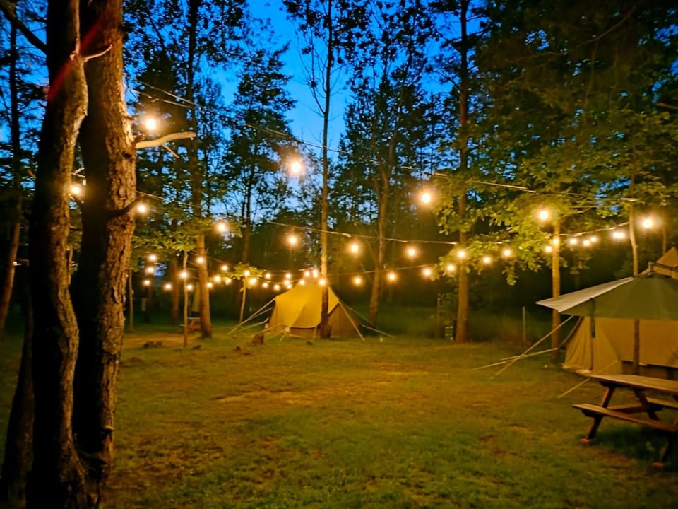Leśny Raj Campground/ 
RV Resort in Lviv Oblast