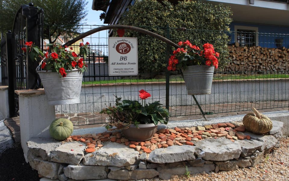 Property building, Day, Garden