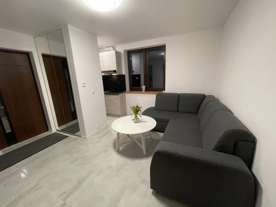 Kitchen or kitchenette, Living room, Seating area