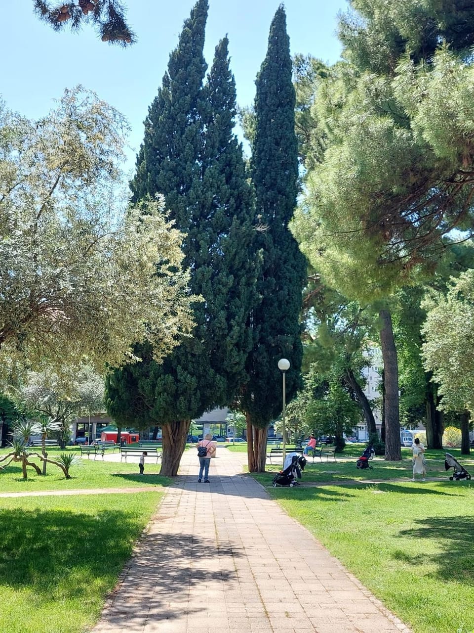 Garden view