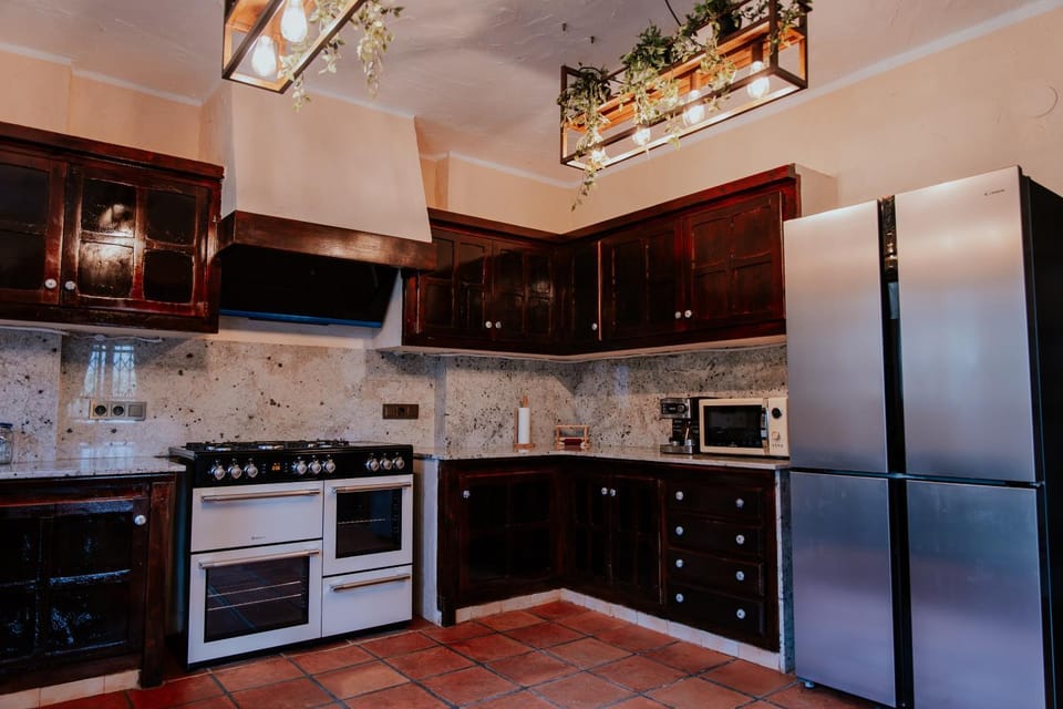 Kitchen or kitchenette, dishwasher, minibar, stove, toaster