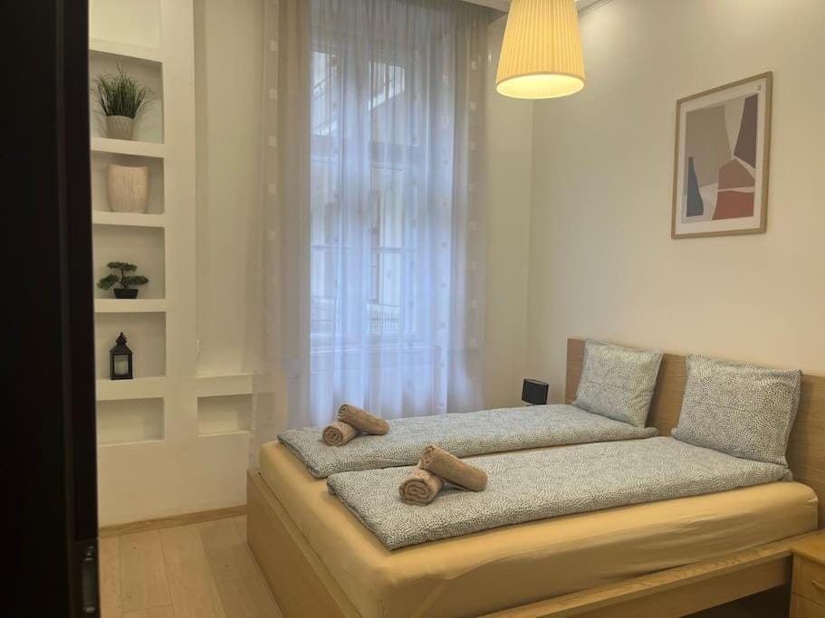 Széchenyi Renovated 2BR at Danube river Apartment in Budapest
