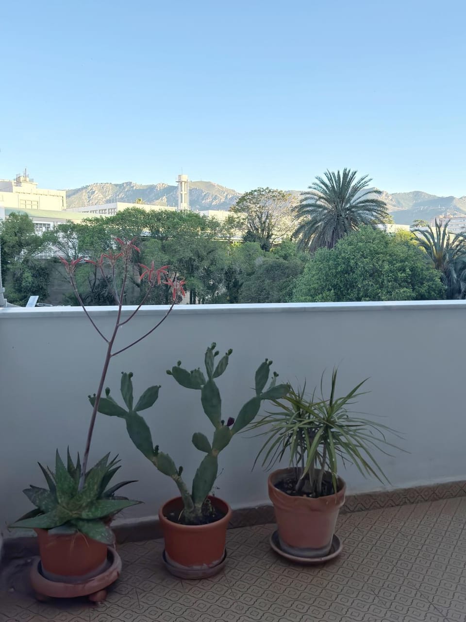 View (from property/room)